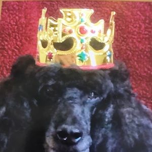 Meet your Posher, Edris